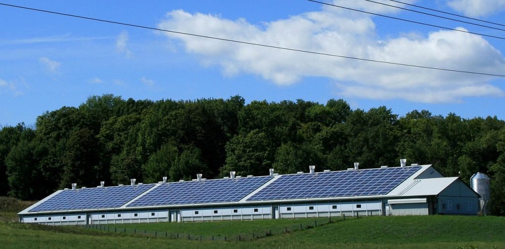 Renewable Energy Growth: Investment Trends and Infrastructure Gaps